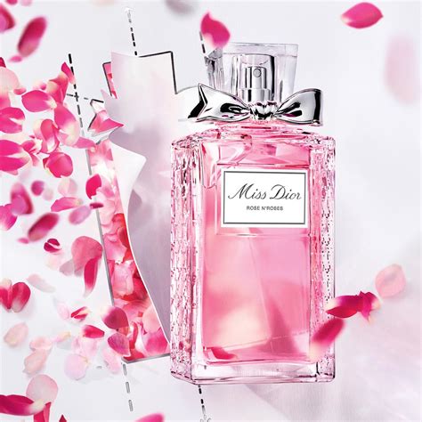 dior perfume roses n roses|dior rose n roses sample.